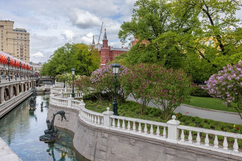В Москве сирень цветет фото превью
