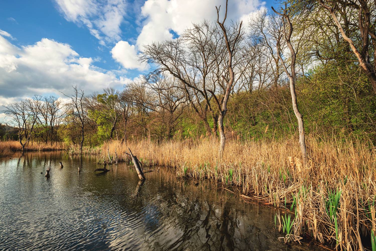 , Диденко Юрий