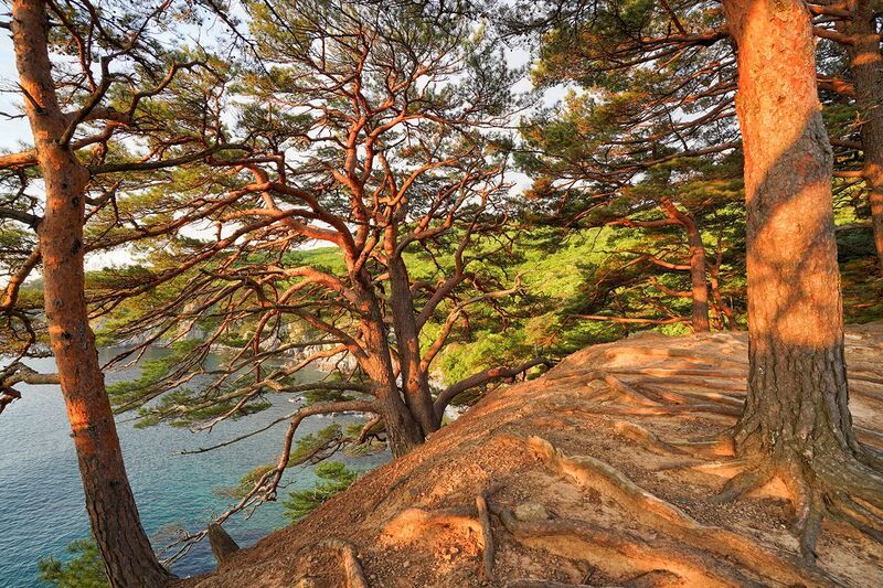 Россия, Приморье, рассвет, пейзаж, море Короткий свет 2 фото превью