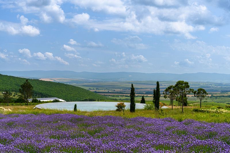 лето, поля, холмы, пейзаж, анапа Летний денёк фото превью