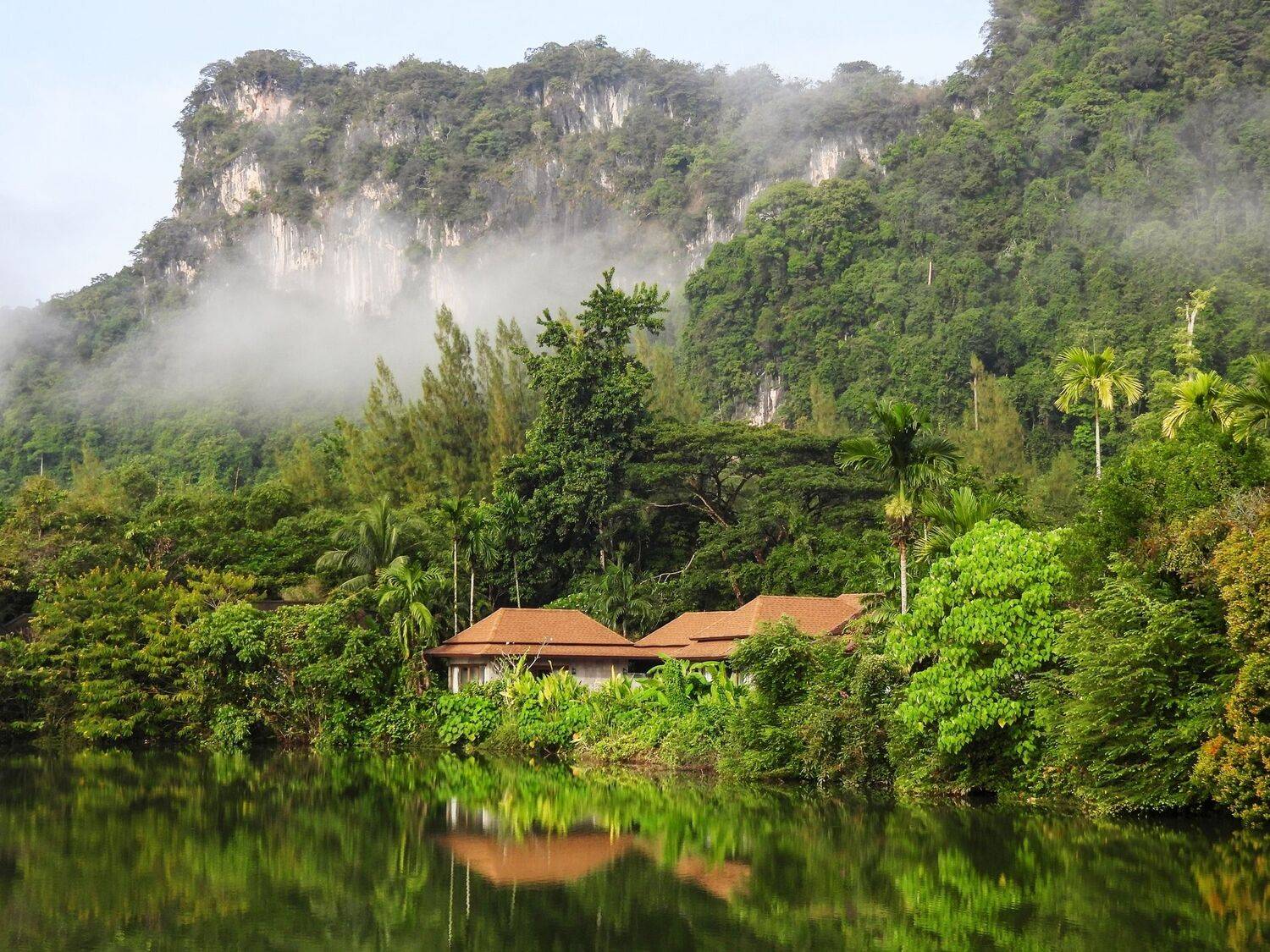 , Лесина Елена