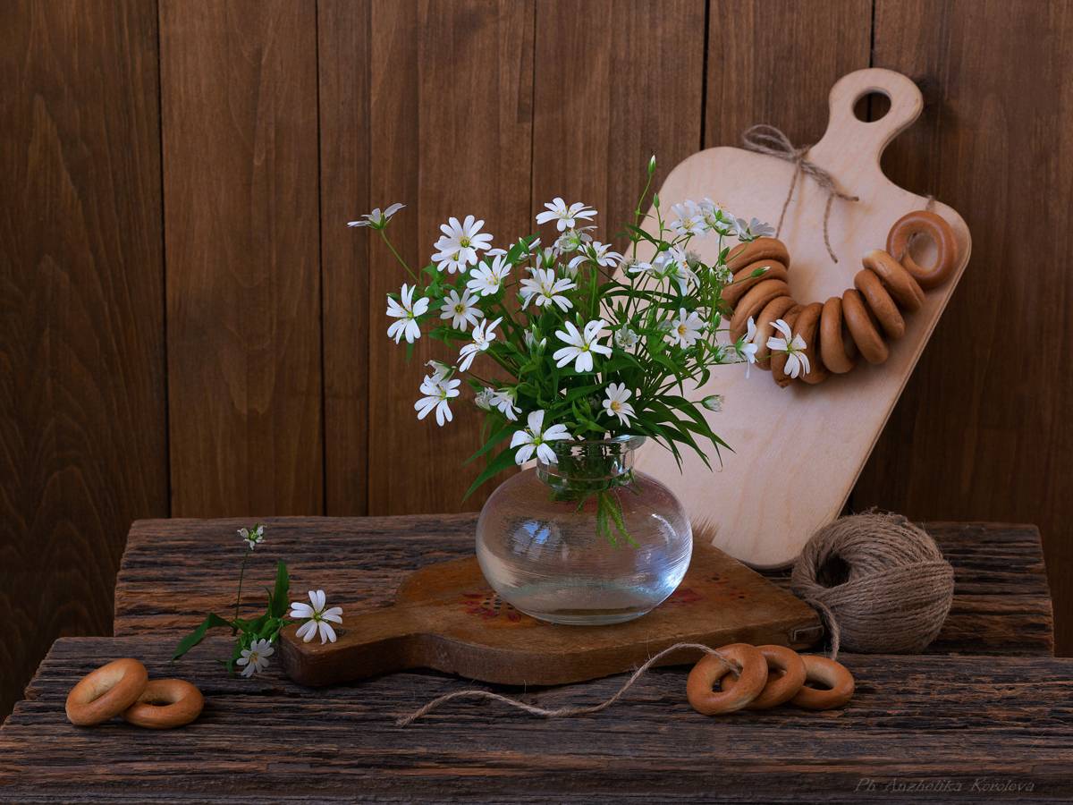 , Анжелика Королева