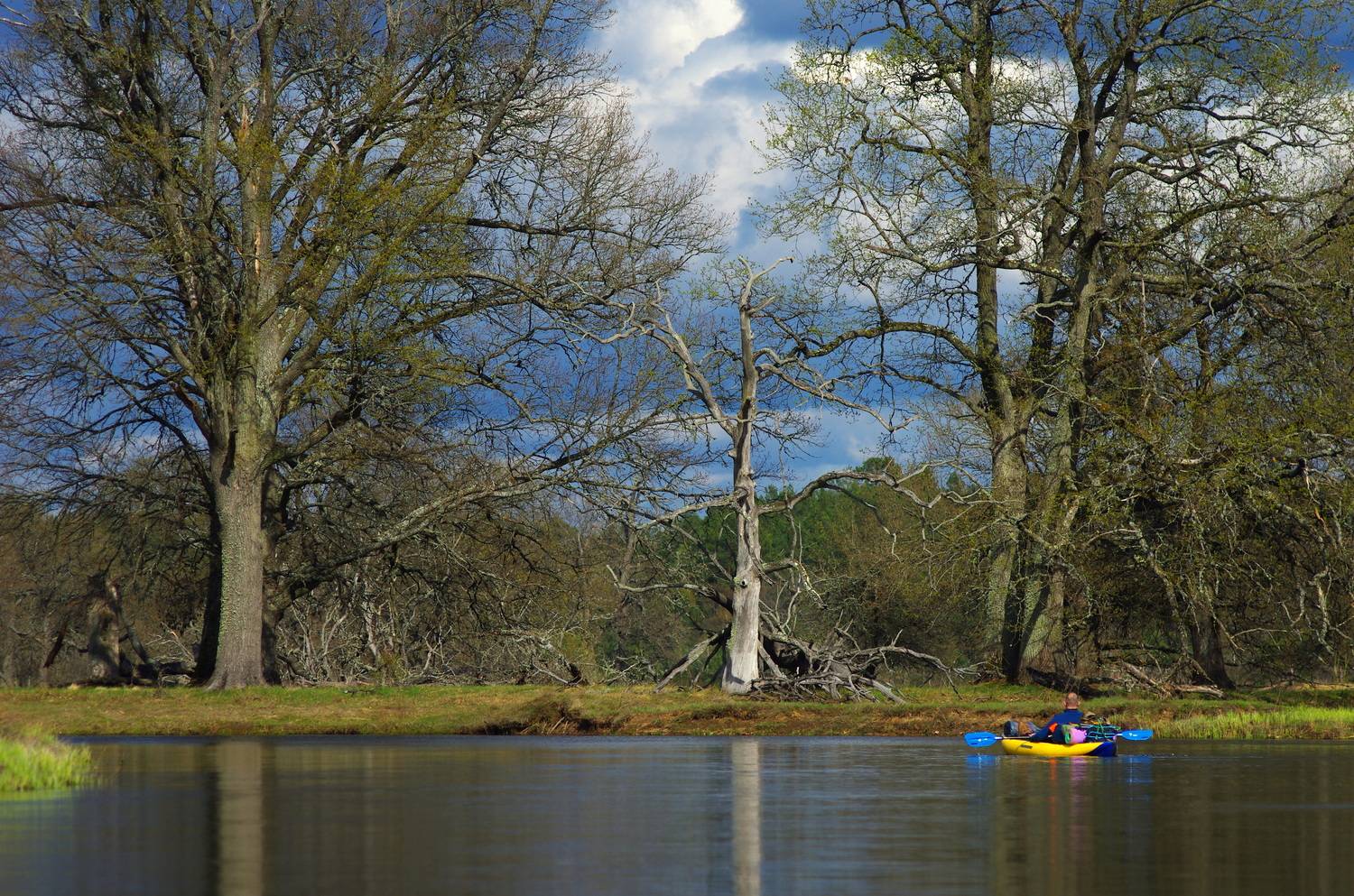 , Шляга Сергей