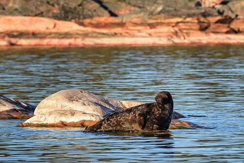 Дай погреться, а?..