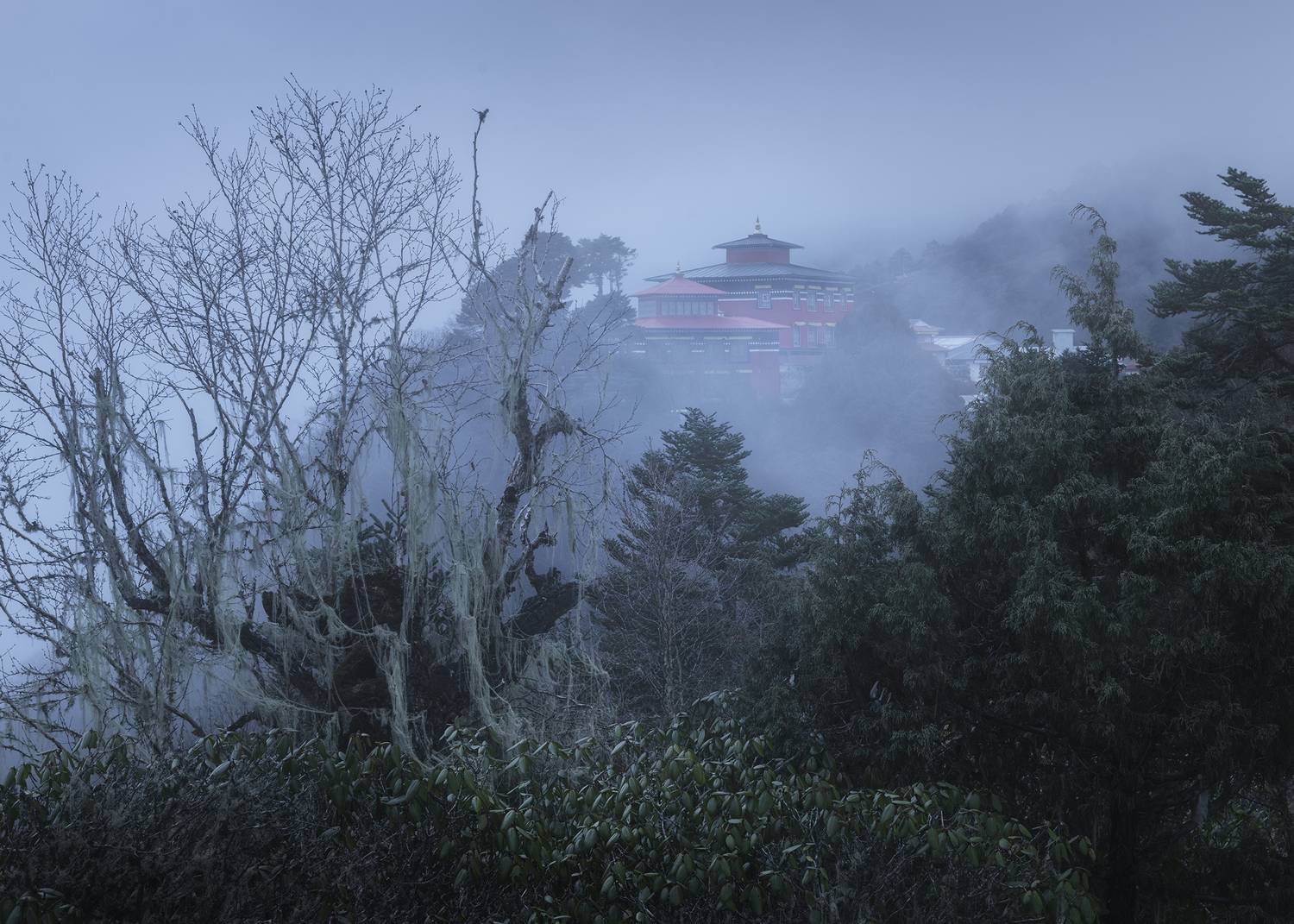 , Политова Анна