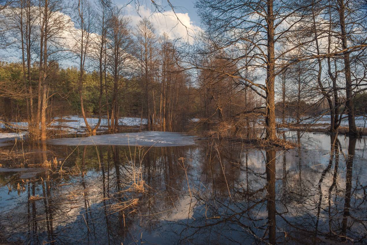 март, разлив, половодье, суворощь, сизово, Алексеев Дмитрий