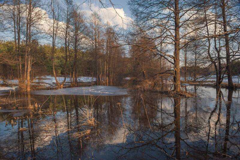 март, разлив, половодье, суворощь, сизово Между фото превью