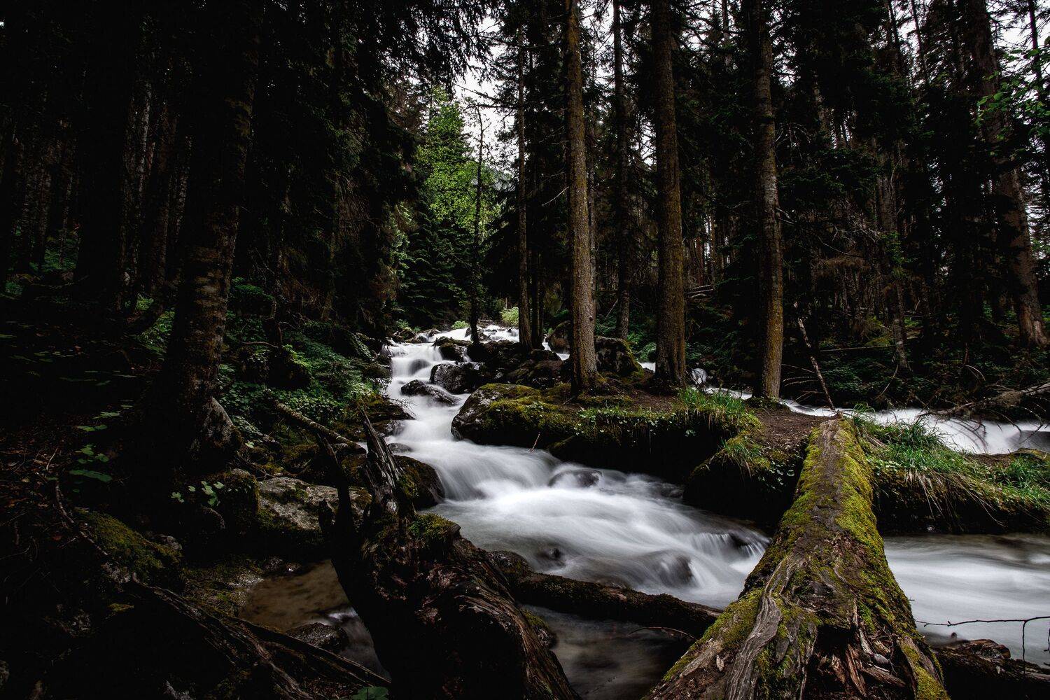 , Раздорова Мария