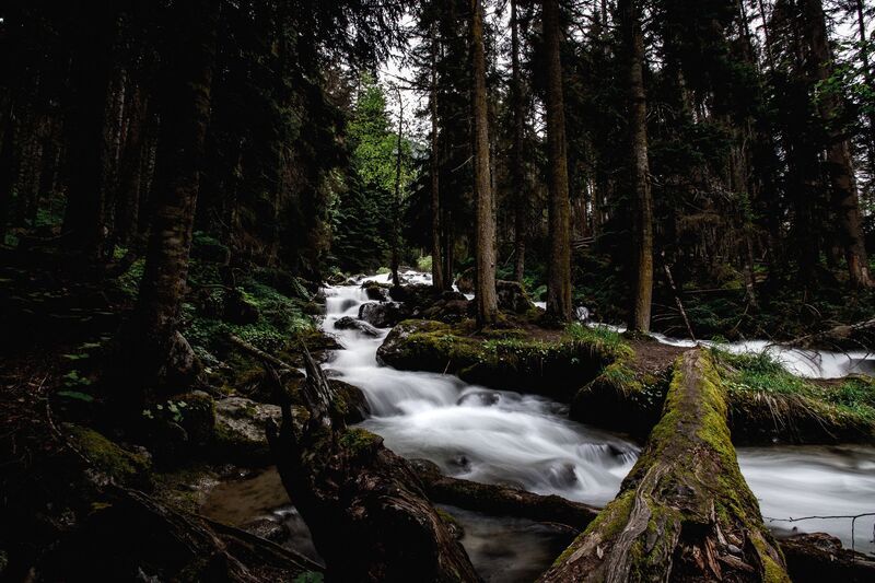 По дороге в Домбай фото превью