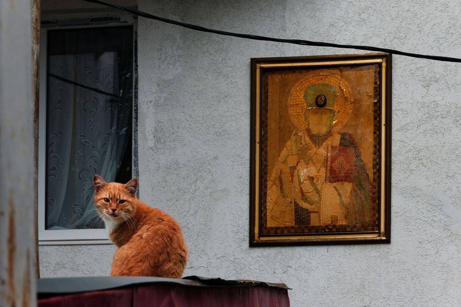 , Какоткин Роман