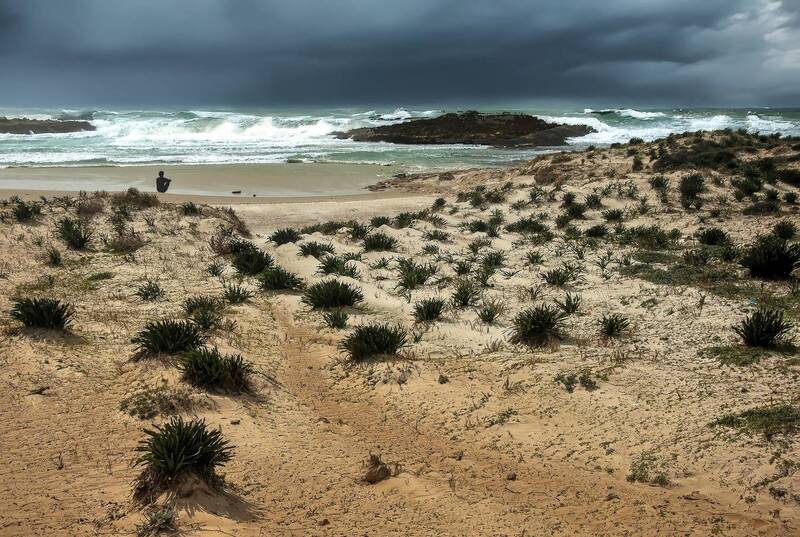 Пловец. фото превью