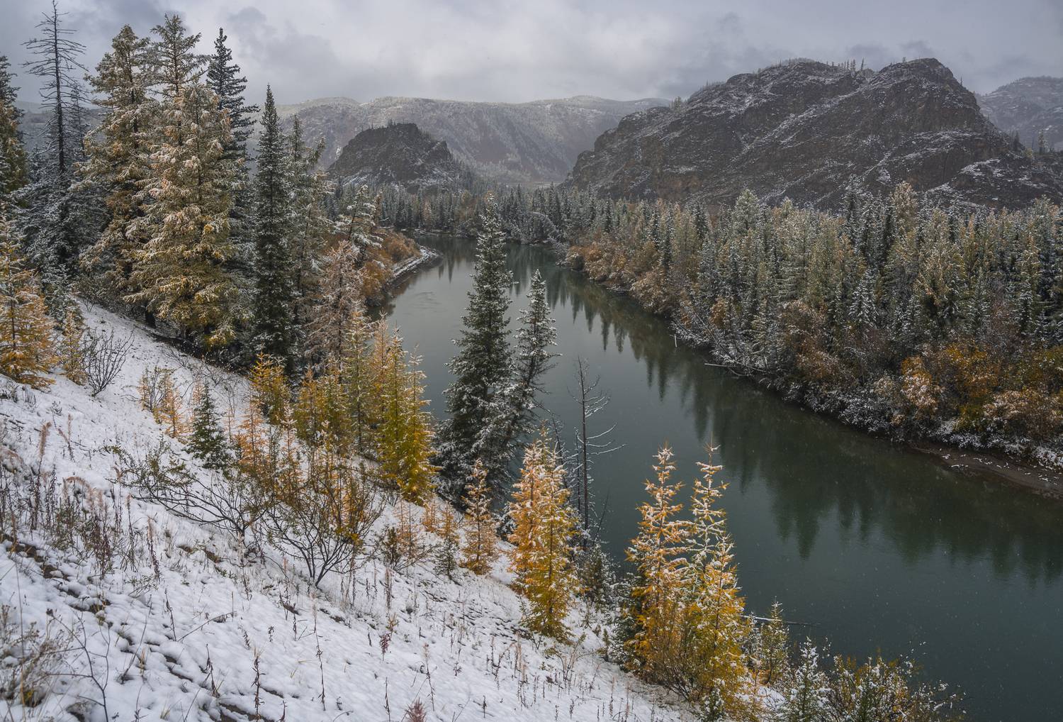 россия, горный алтай, река, снег, осень, Андрей Поляков