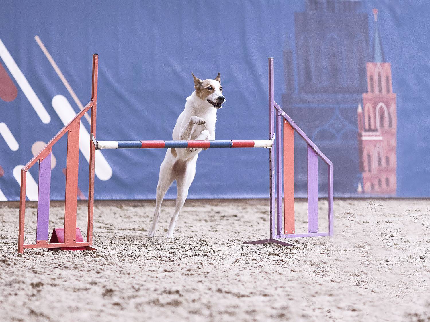 , Стукалова Юлия