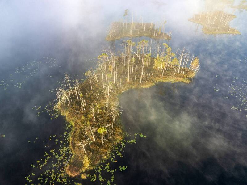 Туманное утро фото превью