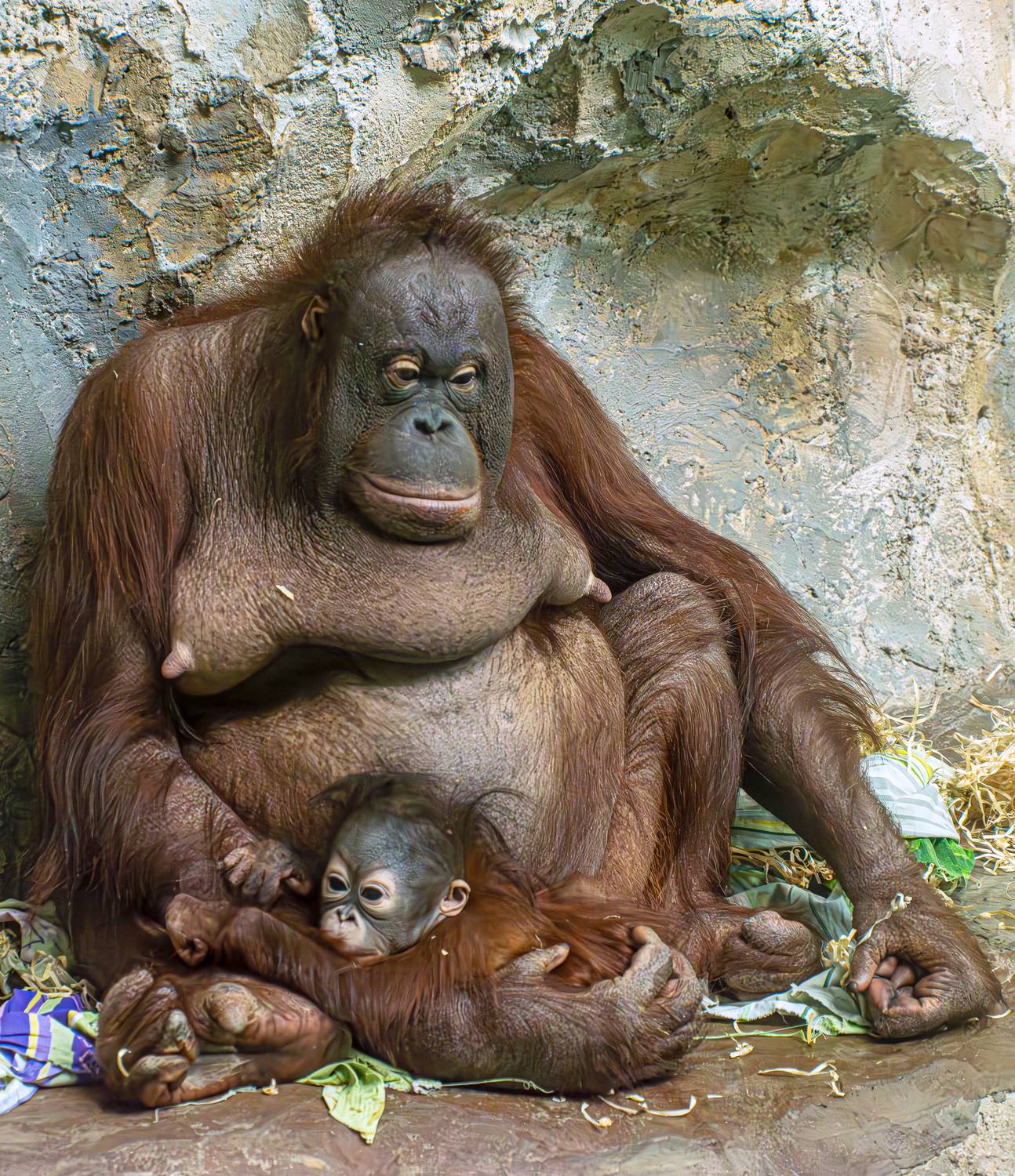 , Михаил Измайлов