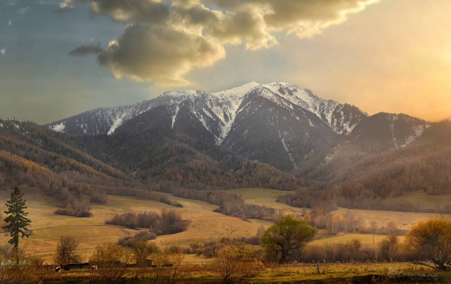 , Крат Светлана