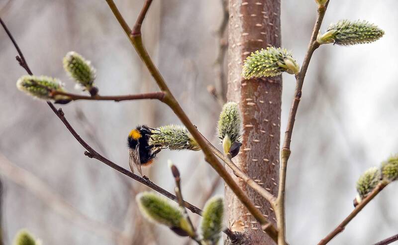 На заправке фото превью