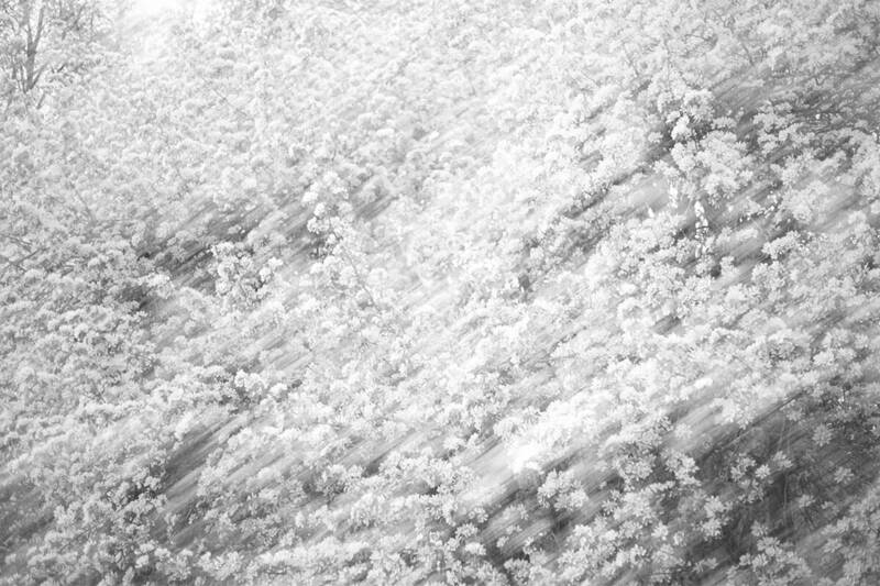 Год назад фото превью