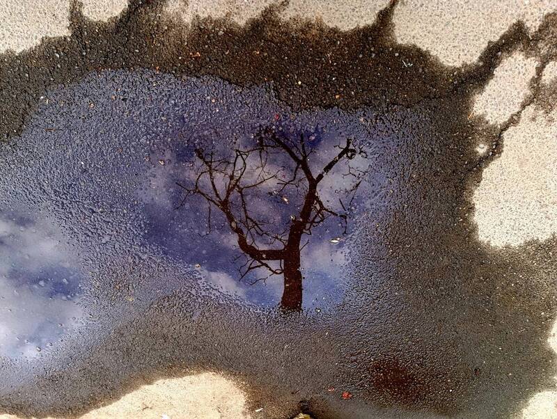 . фото превью