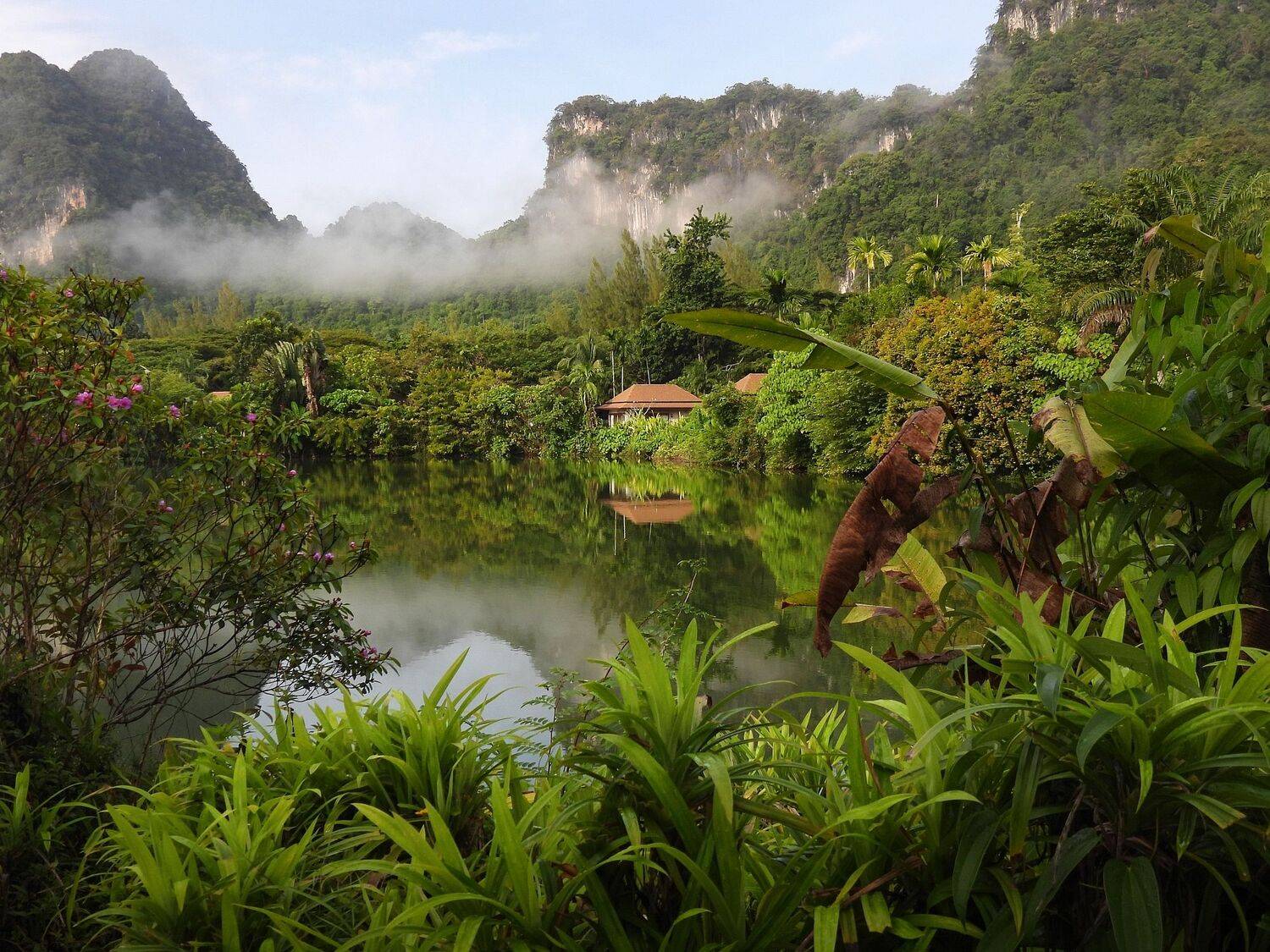 , Лесина Елена