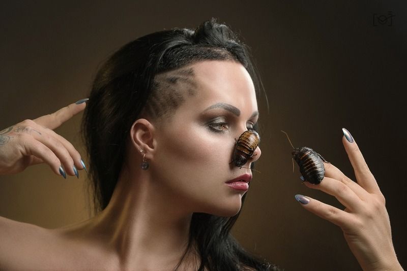 фото превью