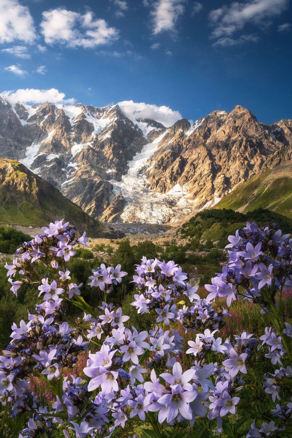 , Вукотић Никола