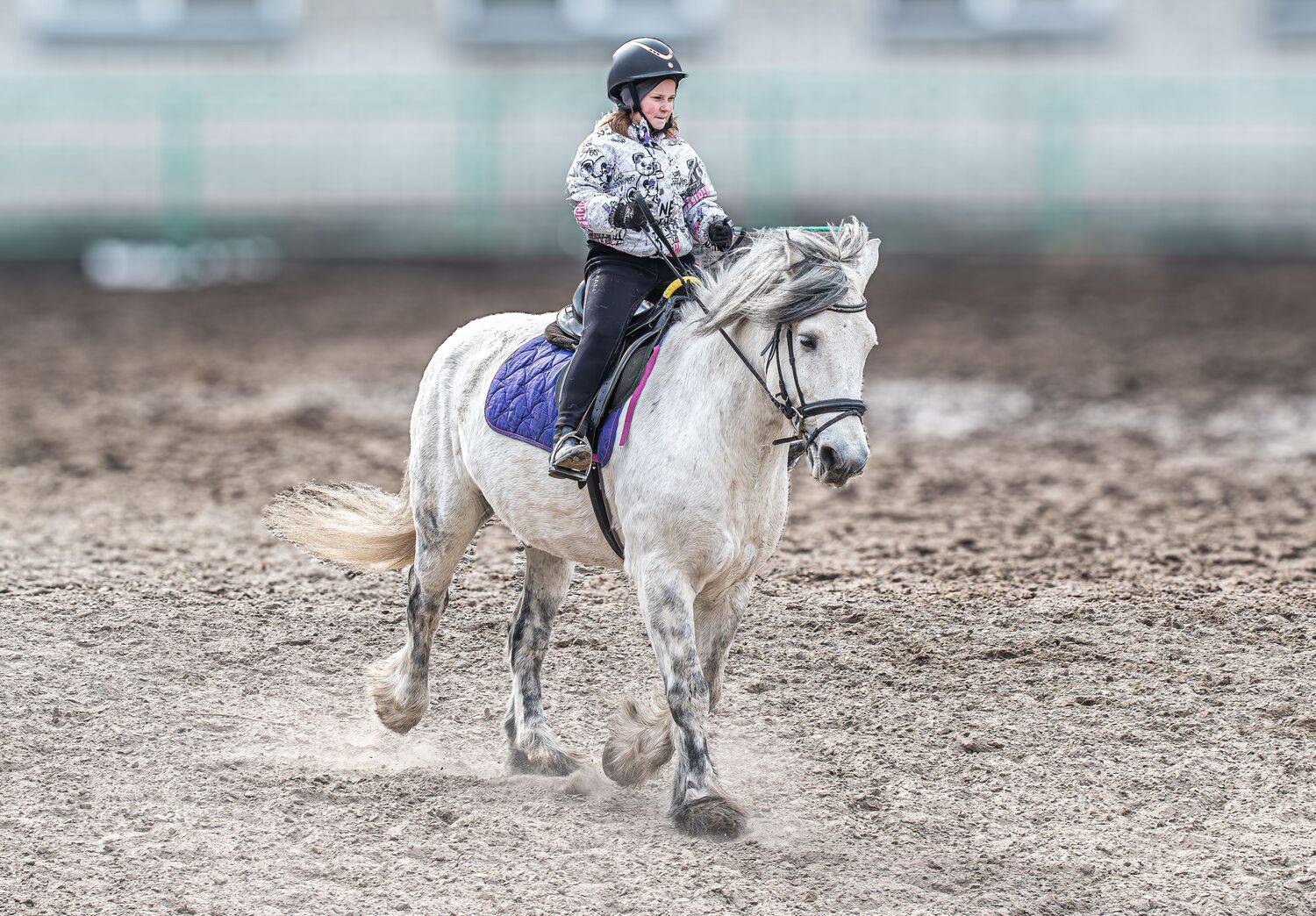 , Михаил Измайлов