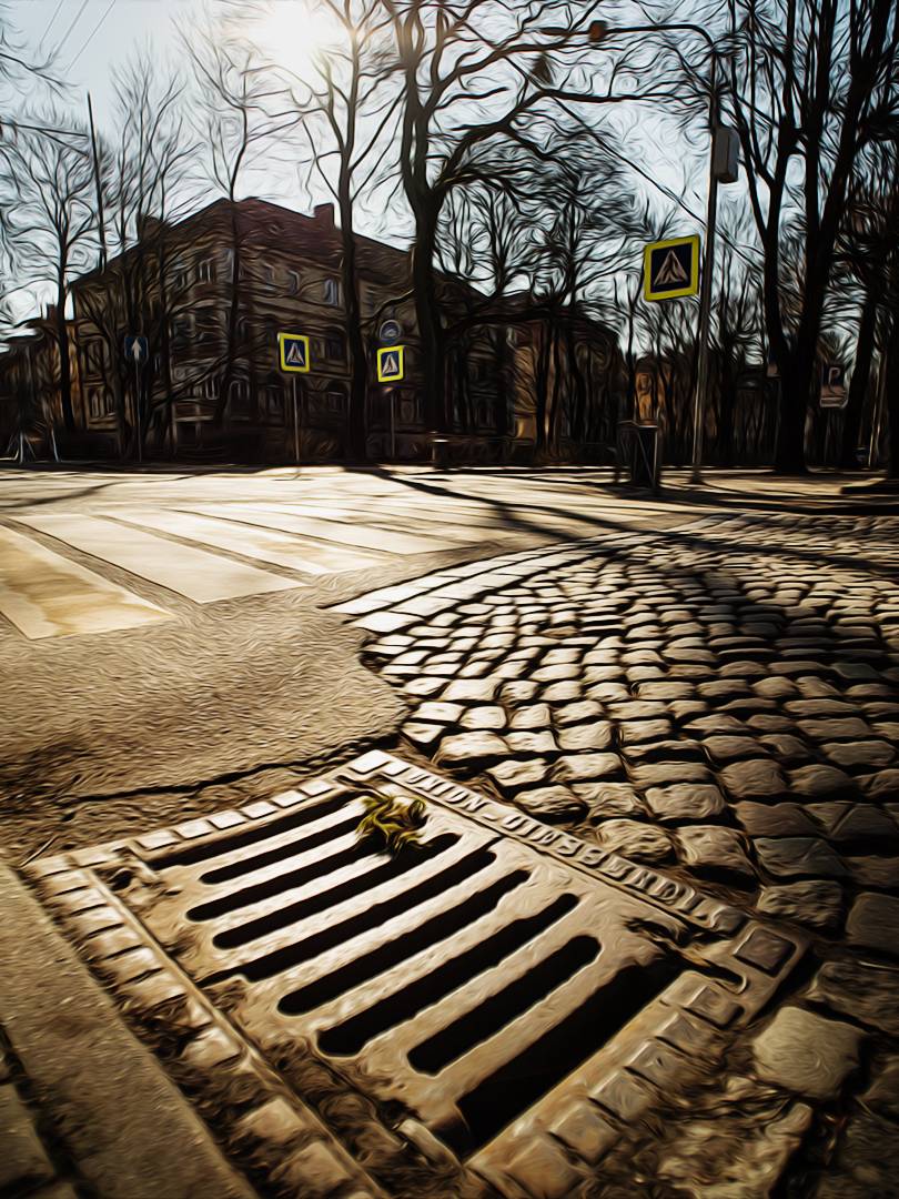 , Тришин Виктор