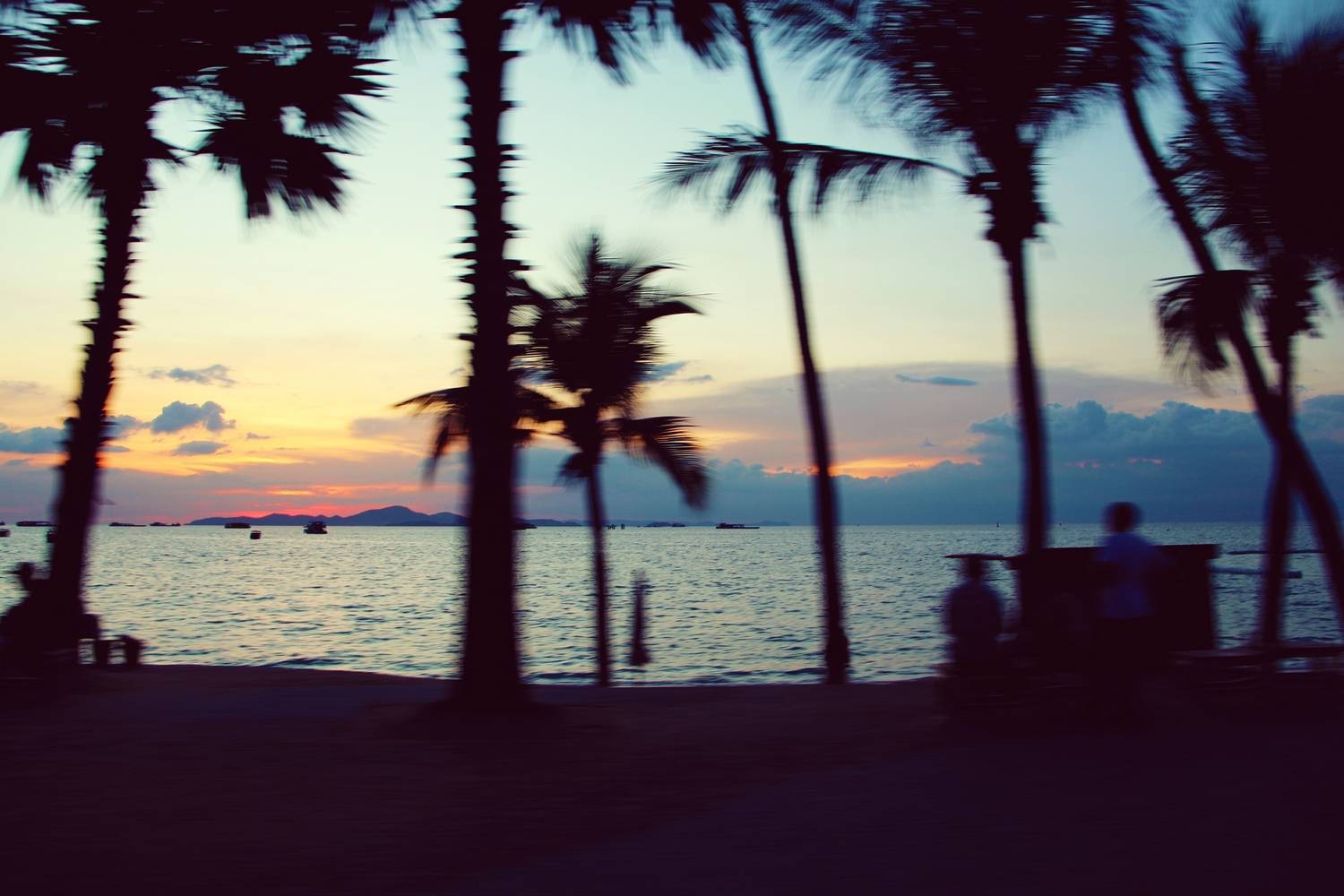 , Игорь Герасимов