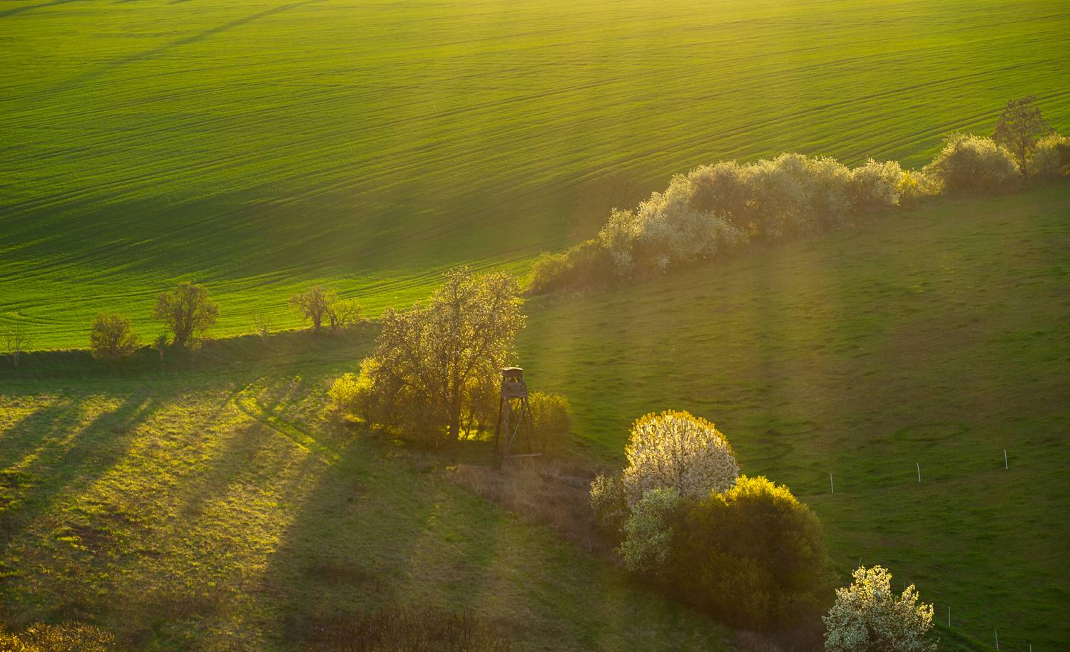 landscape, spring, springtime, golden, goldenhour, Slavom&iacute;r Gajdo&scaron;