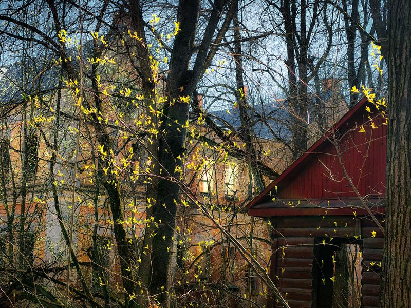 фото превью