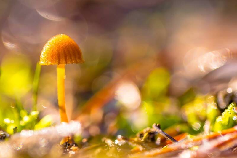 .... фото превью