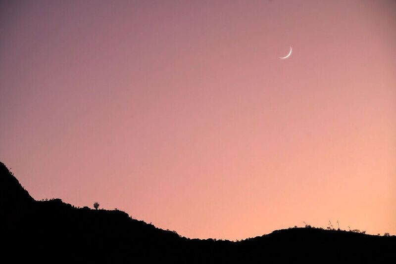 Намибийские истории... фото превью