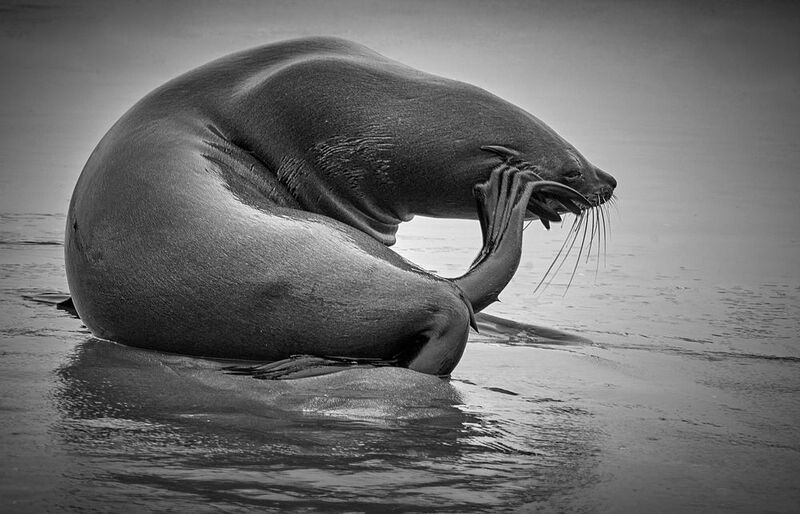 Намибийские истории... фото превью