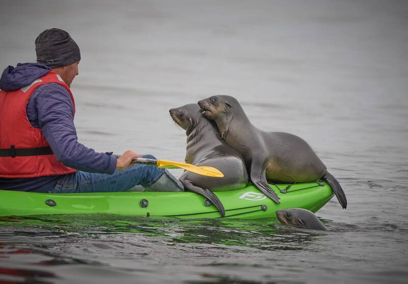 Намибийские истории... фото превью