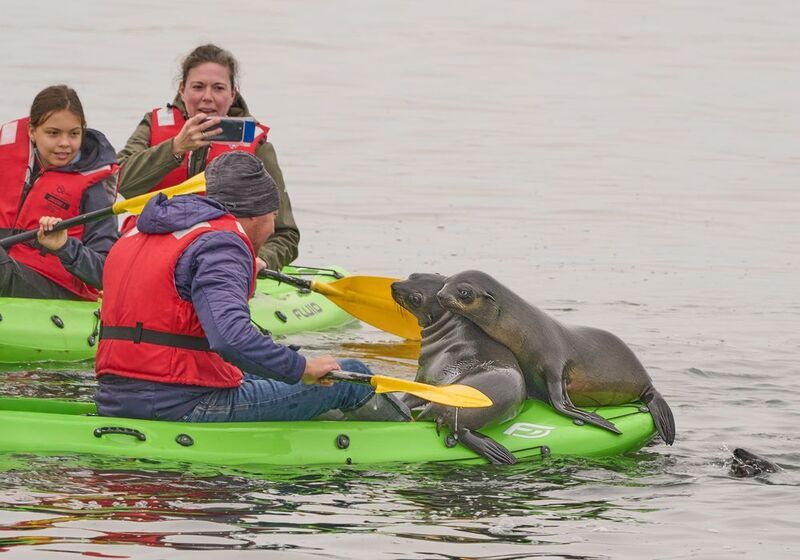 Намибийские истории... фото превью