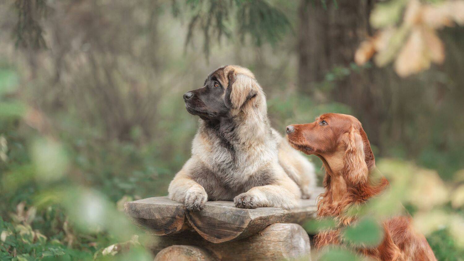 , Зубкова Юлия