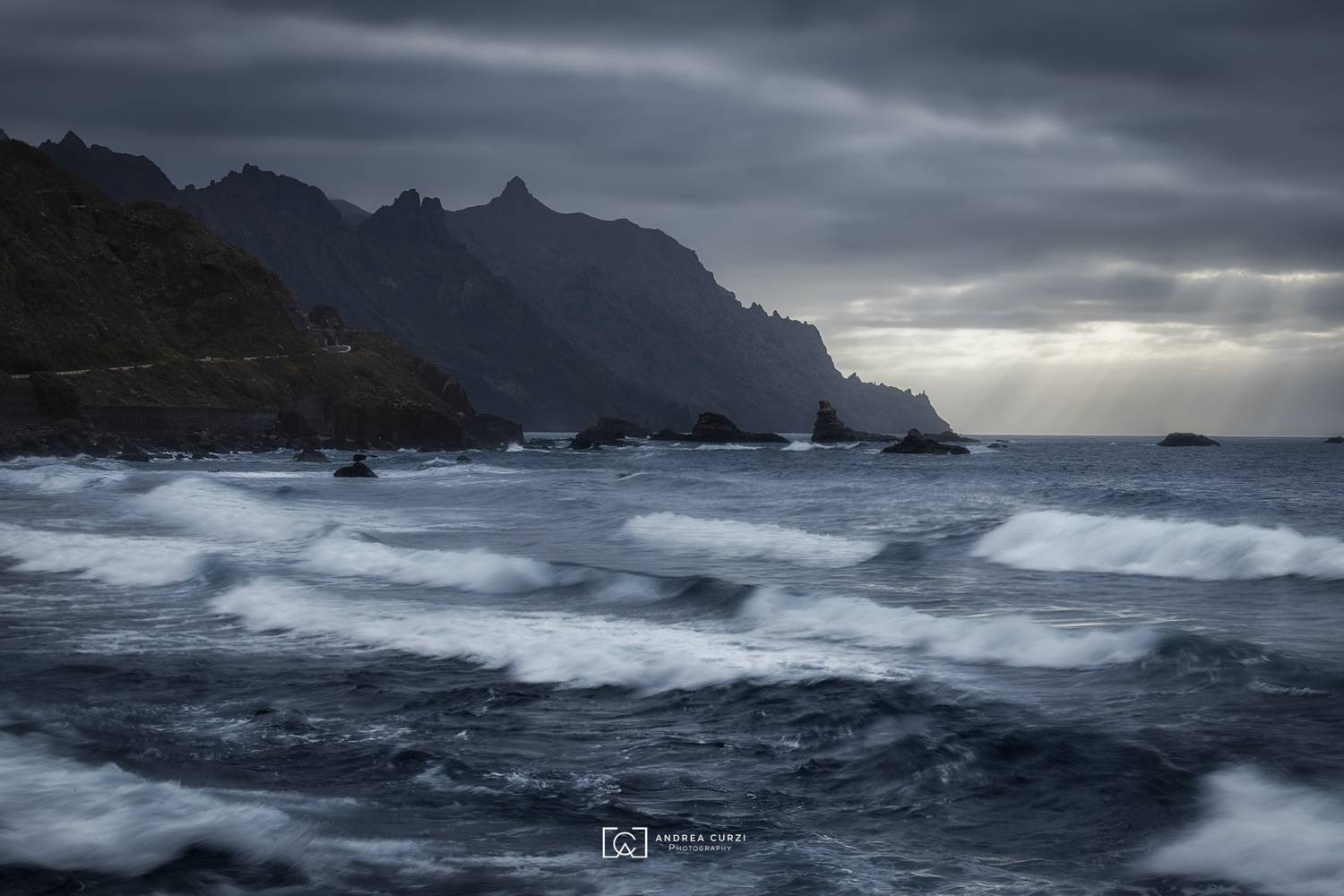 , Andrea Curzi