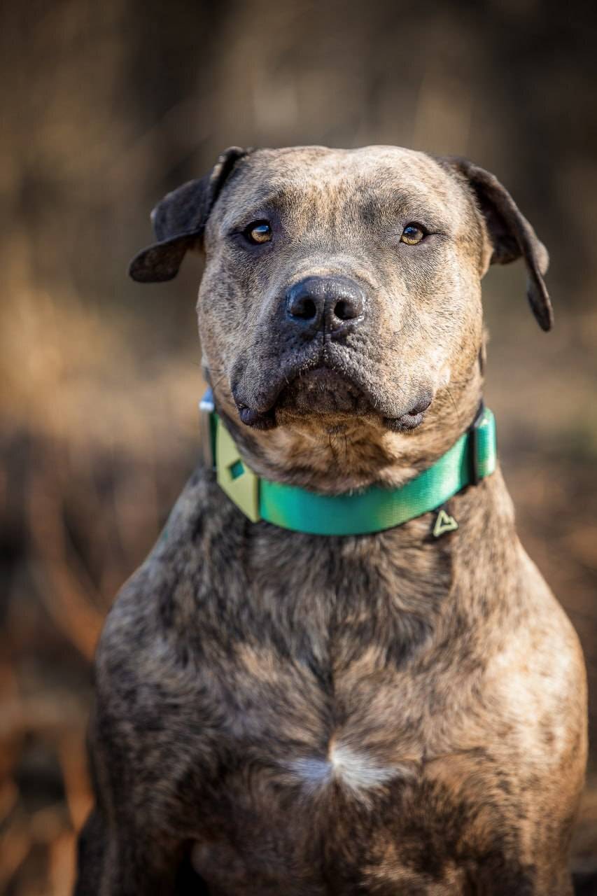 , Елена Самусенкова