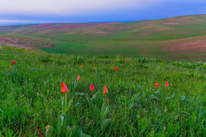 кыргызстан На исходе дня фото превью