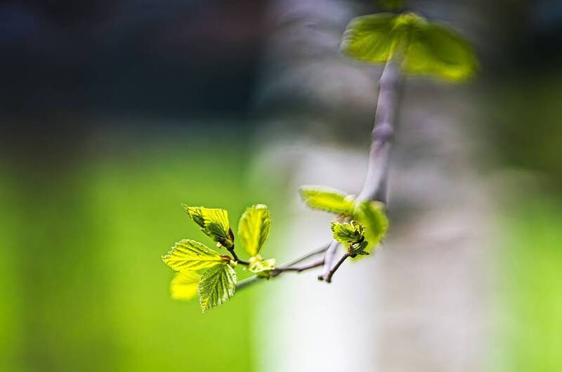 Апрель фото превью