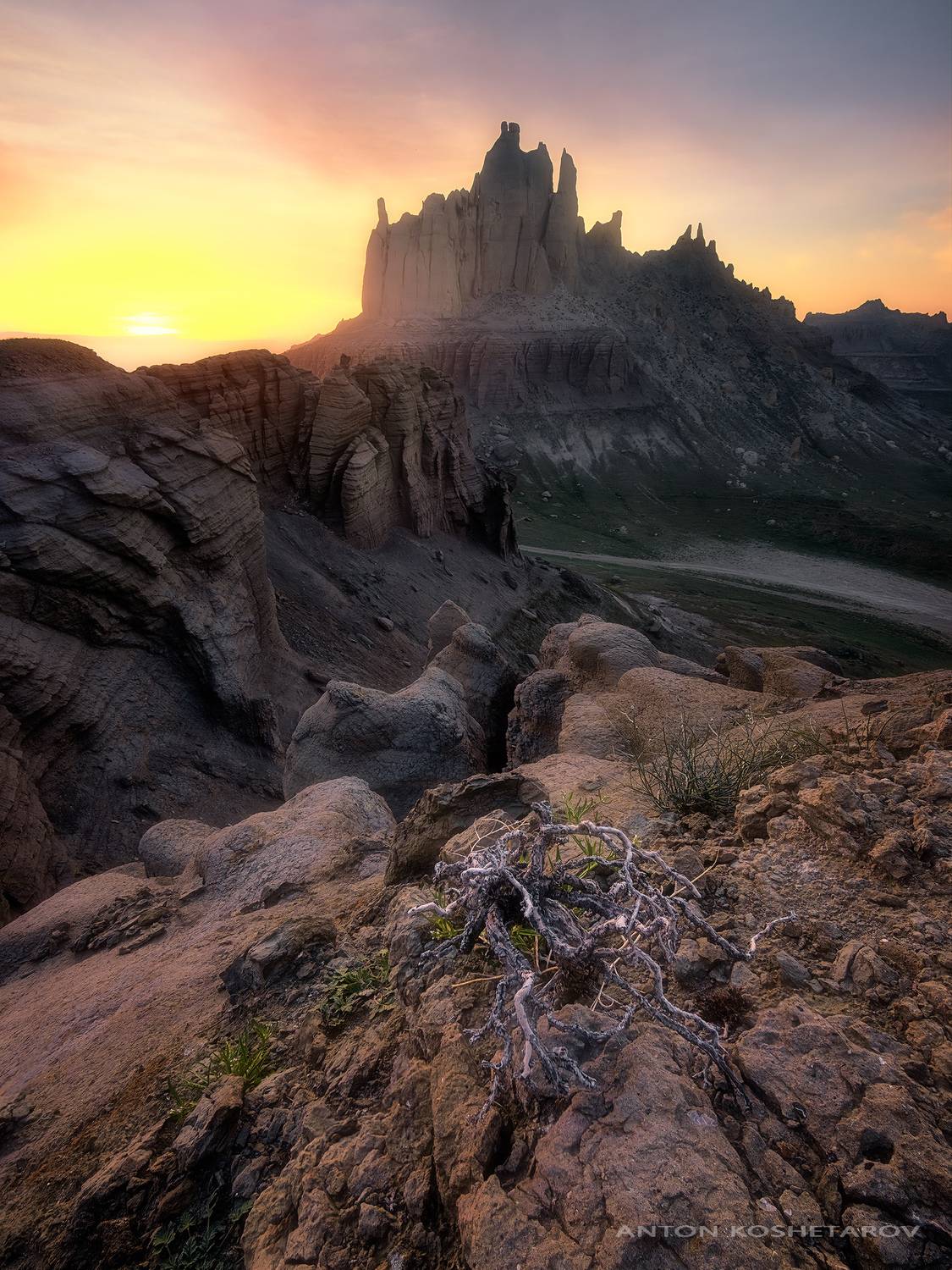 , Антон Кошетаров