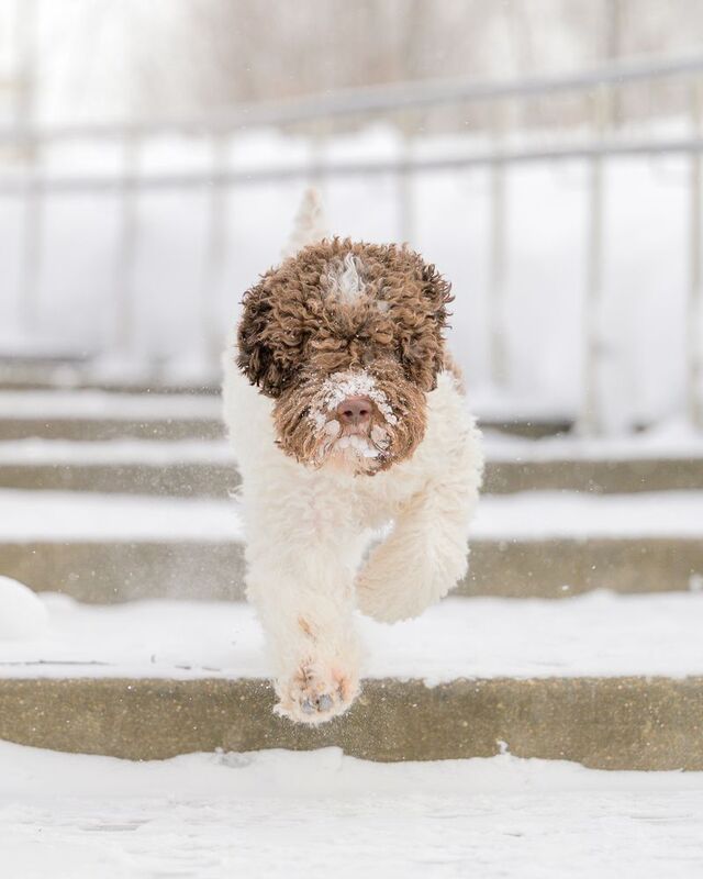 Marpha фото превью