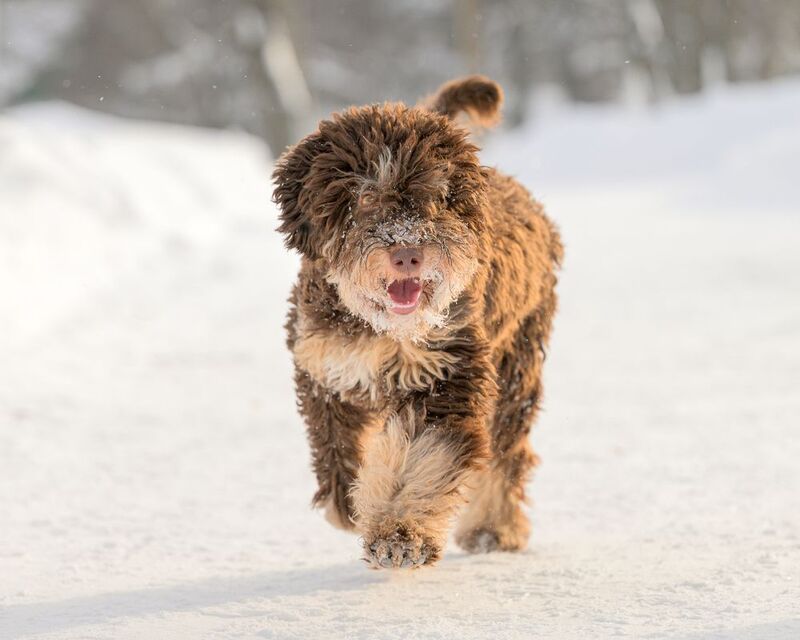 Fanya фото превью