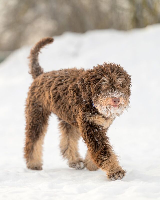 Fanya фото превью