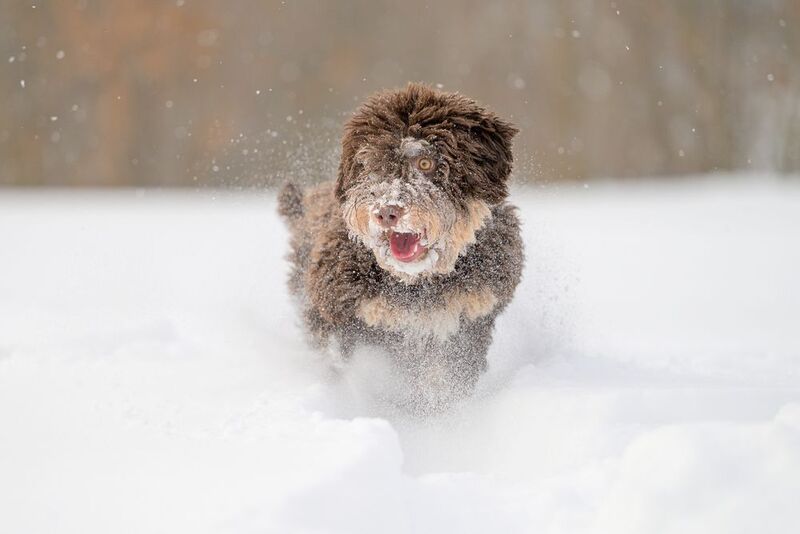 Fanya фото превью