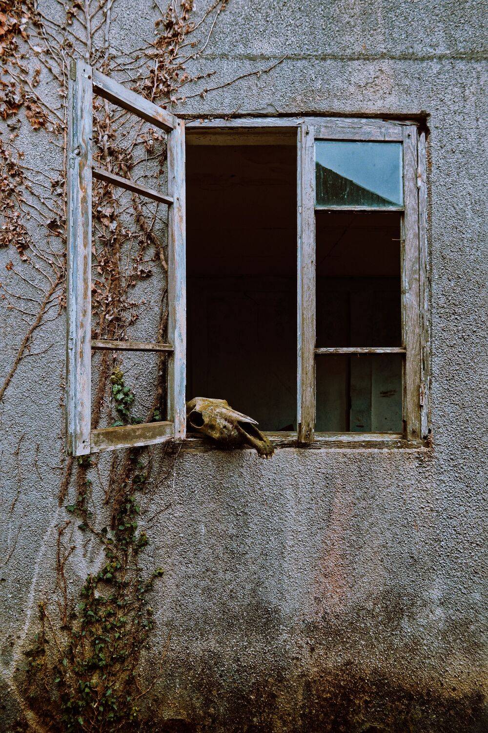 , Какоткин Роман