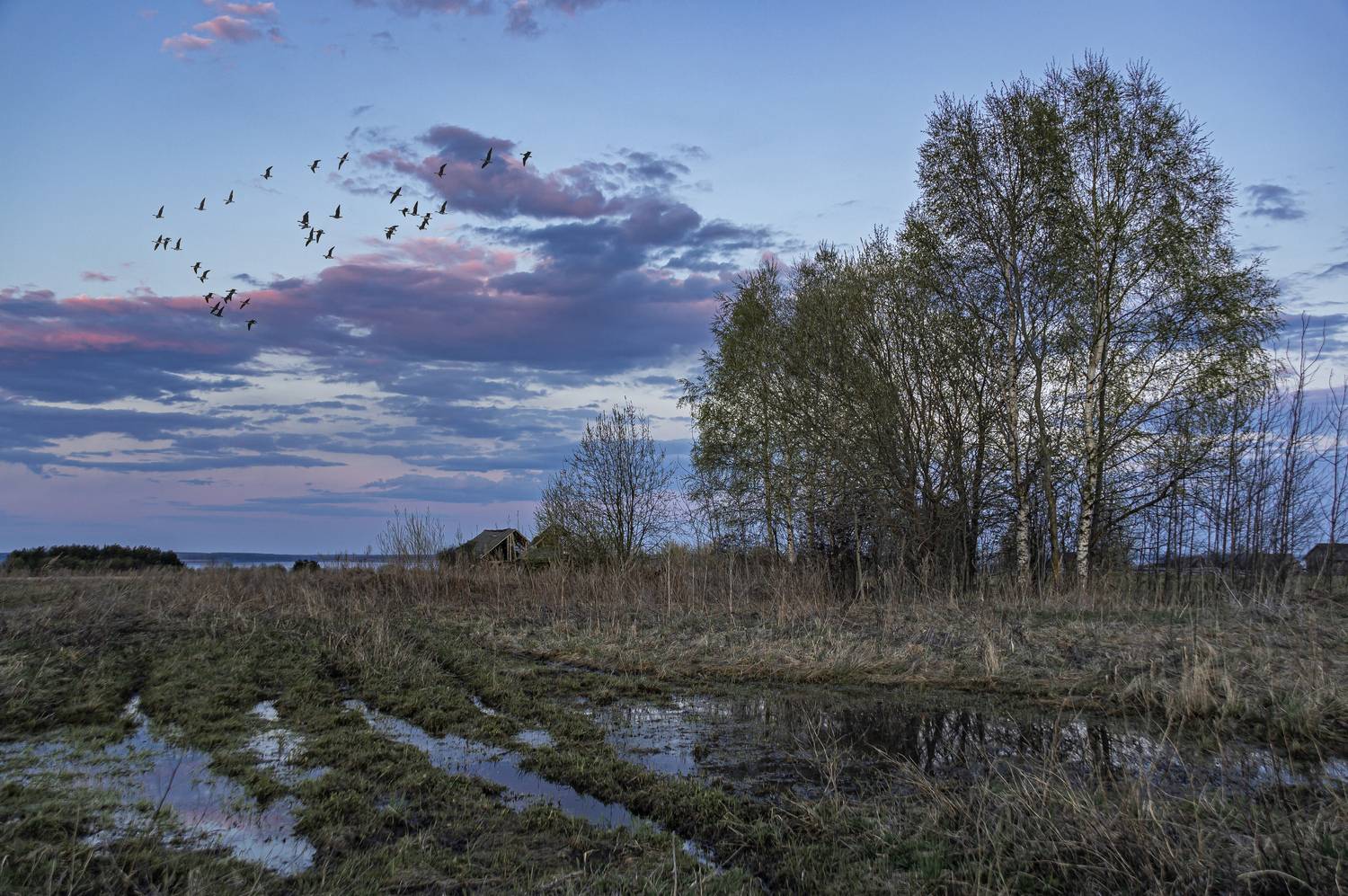 , Шитов Александр