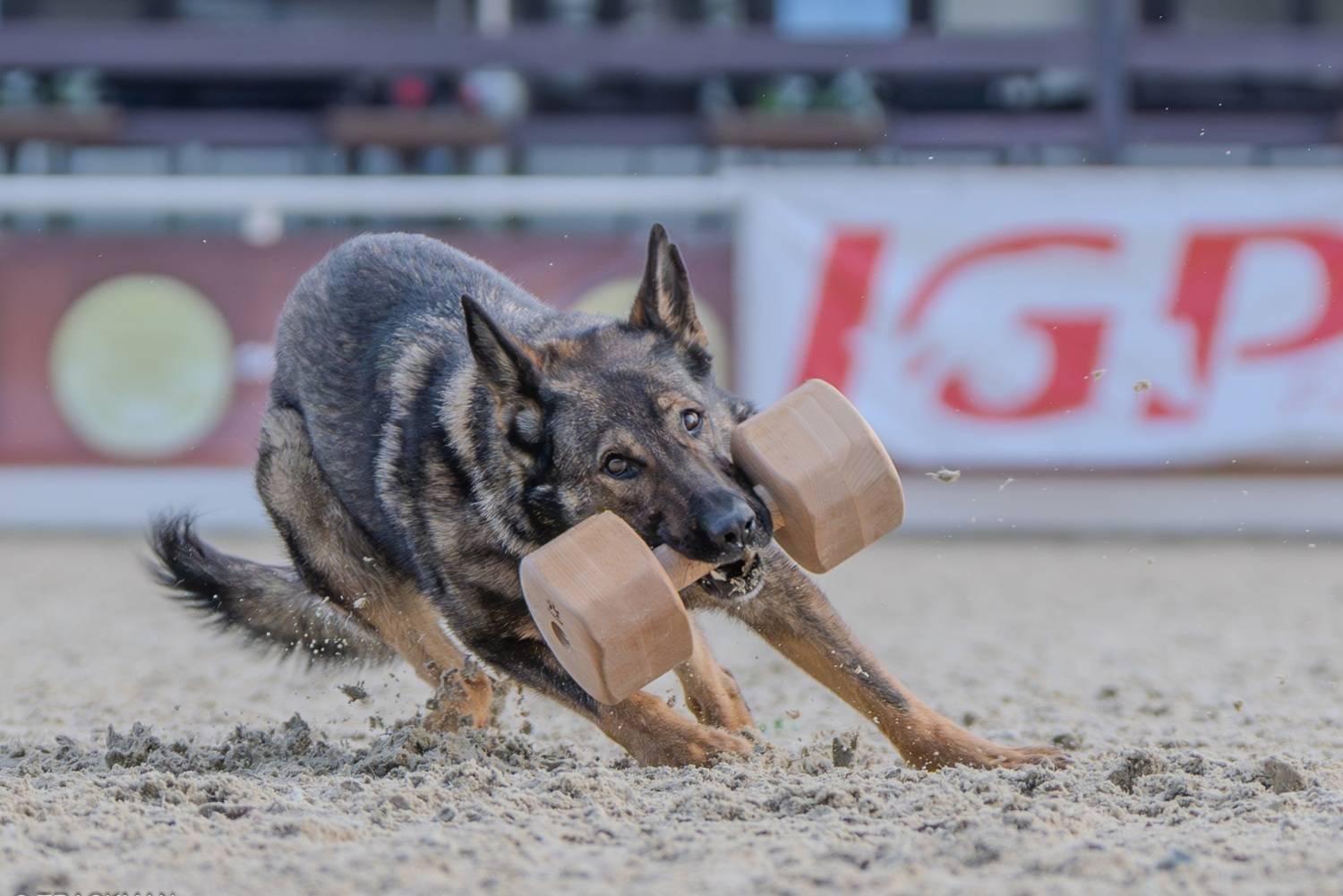 , Сергей Жиркевич
