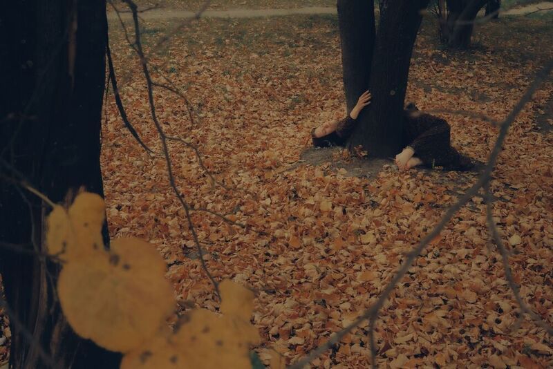 Припасть к земле фото превью